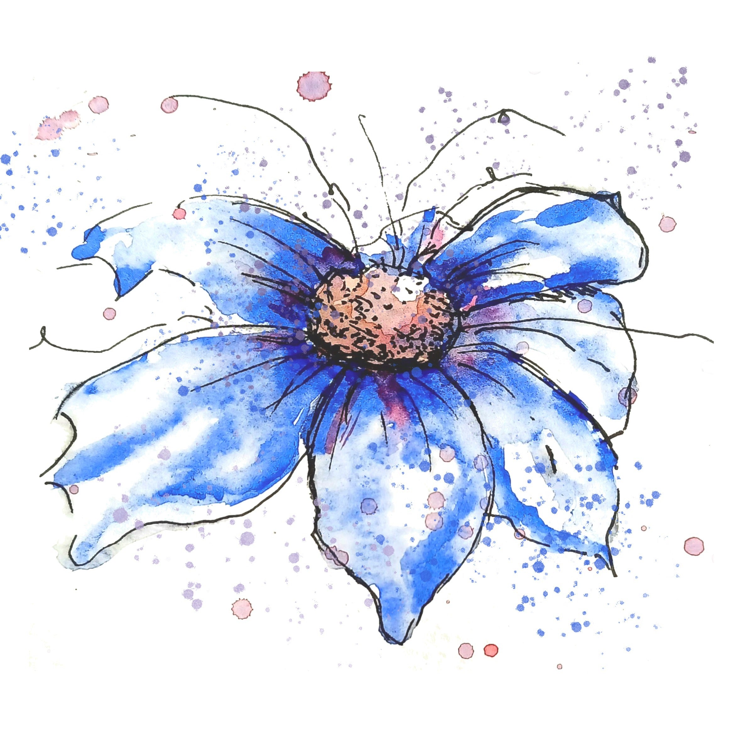 Close-up of artwork: Blue cosmos watercolour flower greeting card artwork showing delicate petals and hand-painted detail