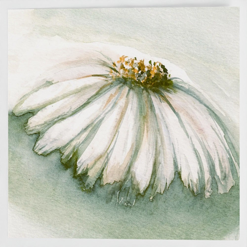 Daisy Watercolour painting of a white daisy with green background