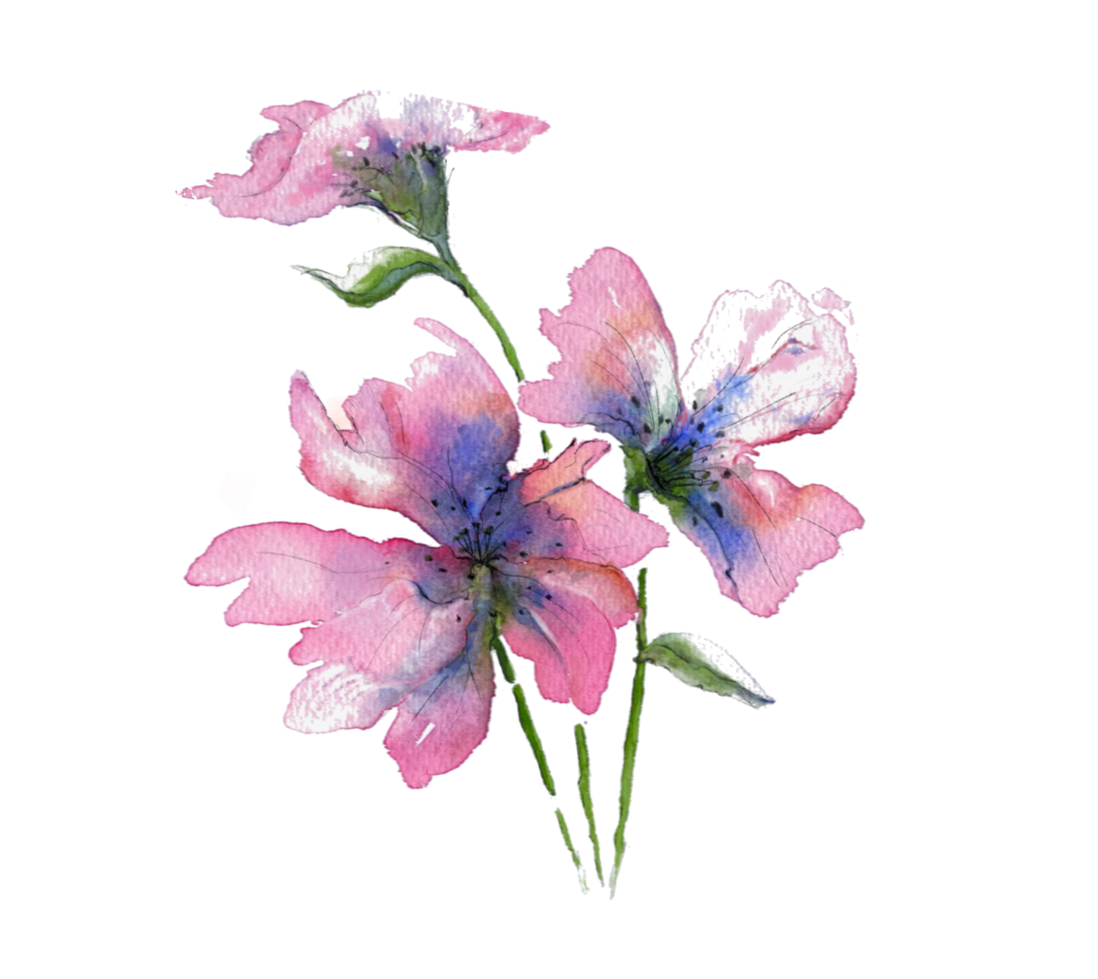 A Gentle Bloom Stretched Canvas Wall Art | Botanical Watercolour Artwork