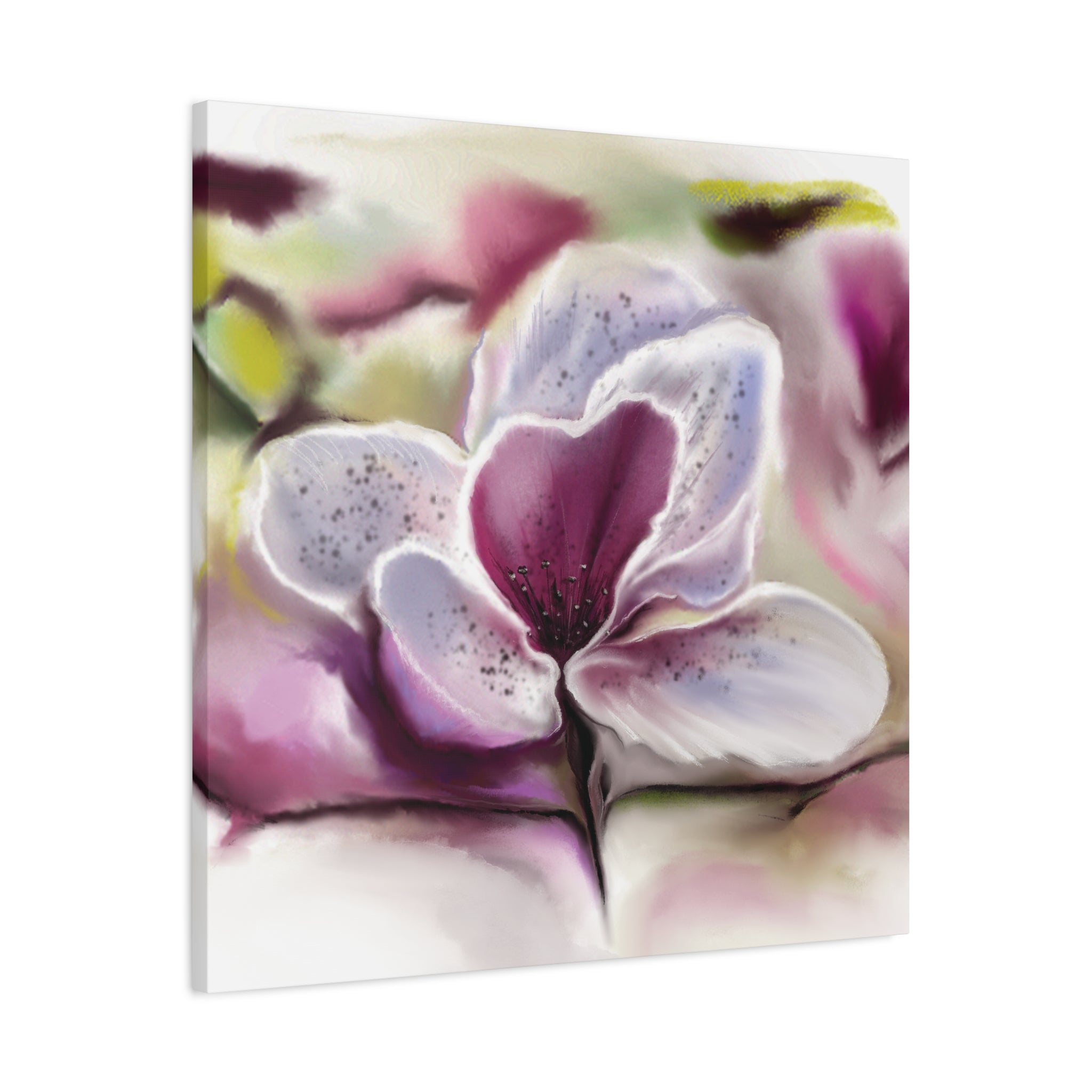 Framed artwork of a pink and white flower with a blurred background