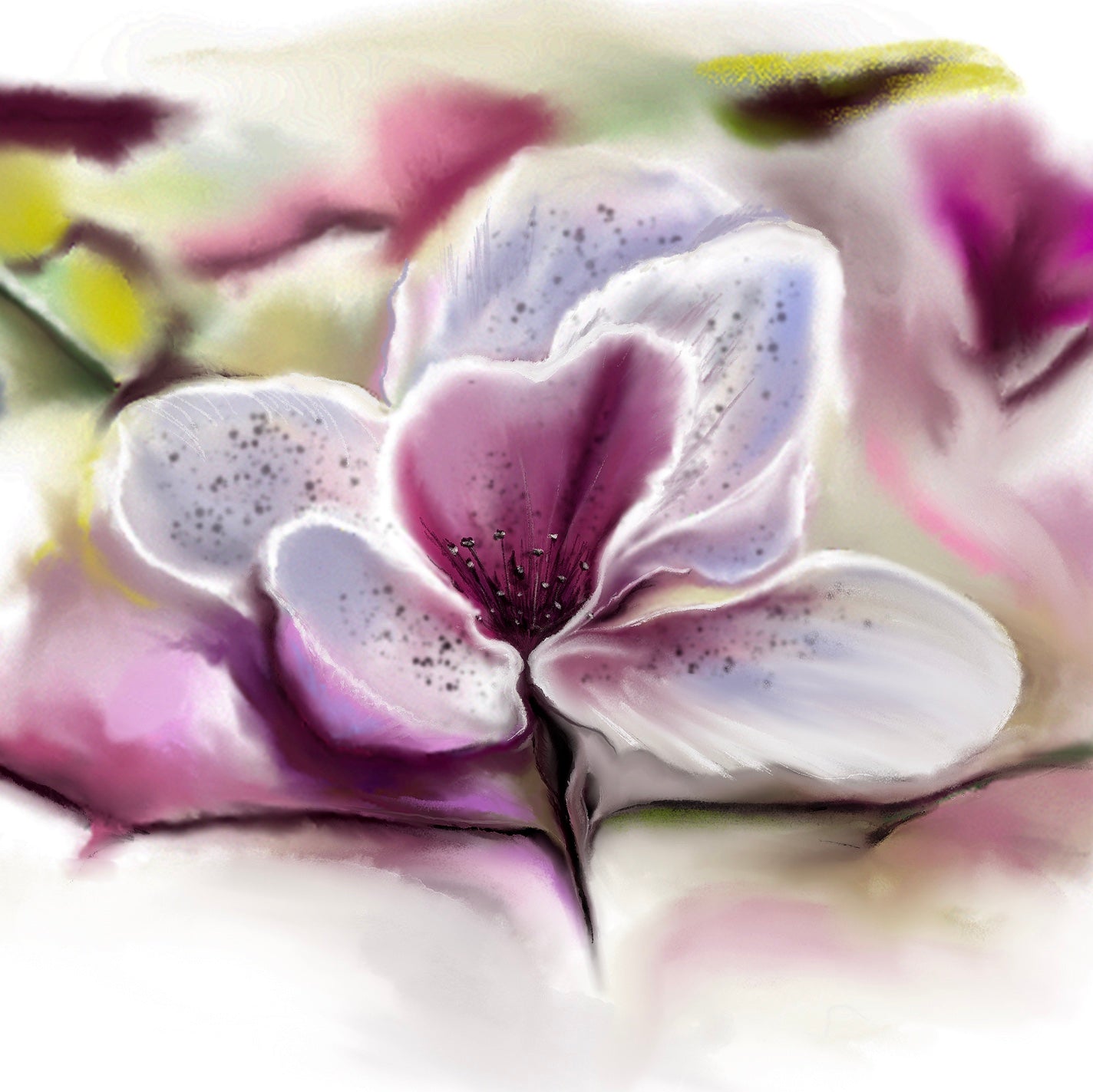 Velvet Bloom image of purple flower